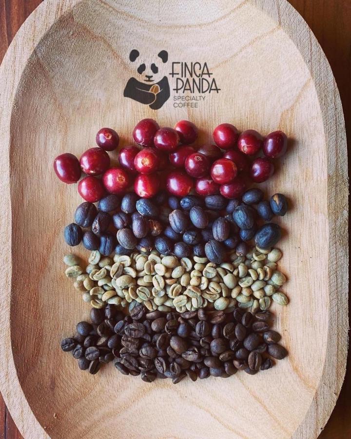 Finca Panda Boquete Eksteriør billede